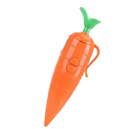 ✨2026 Spring special offer 49% off-🥕60-Second Voice Recorder with Playback & Audio Recorder Pen